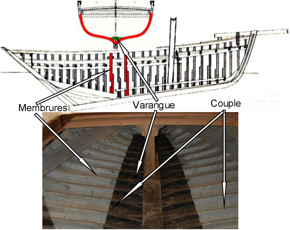 medias/images/plan de coque/c5 menbrures.jpg