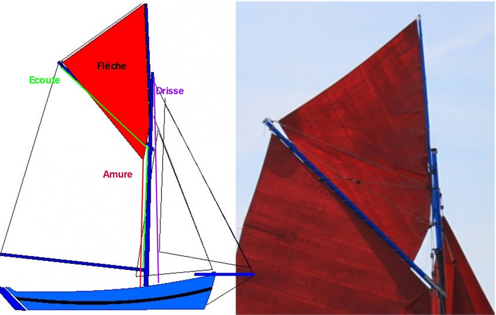 medias/images/plan de voilure/s-fleche1.jpg