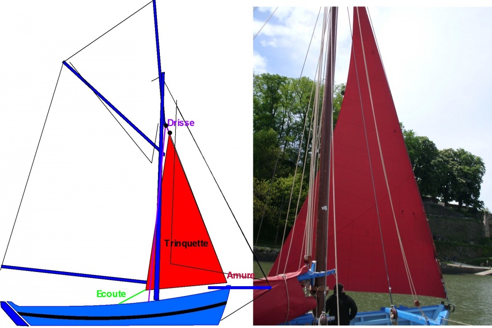 medias/images/plan de voilure/s-trinqette1.jpg